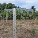Bán đất nền góc 2 mặt tiền 429m2 giá 1,6 tỷ tại Nhị Thành, Thủ Thừa - Ảnh thu nhỏ 3