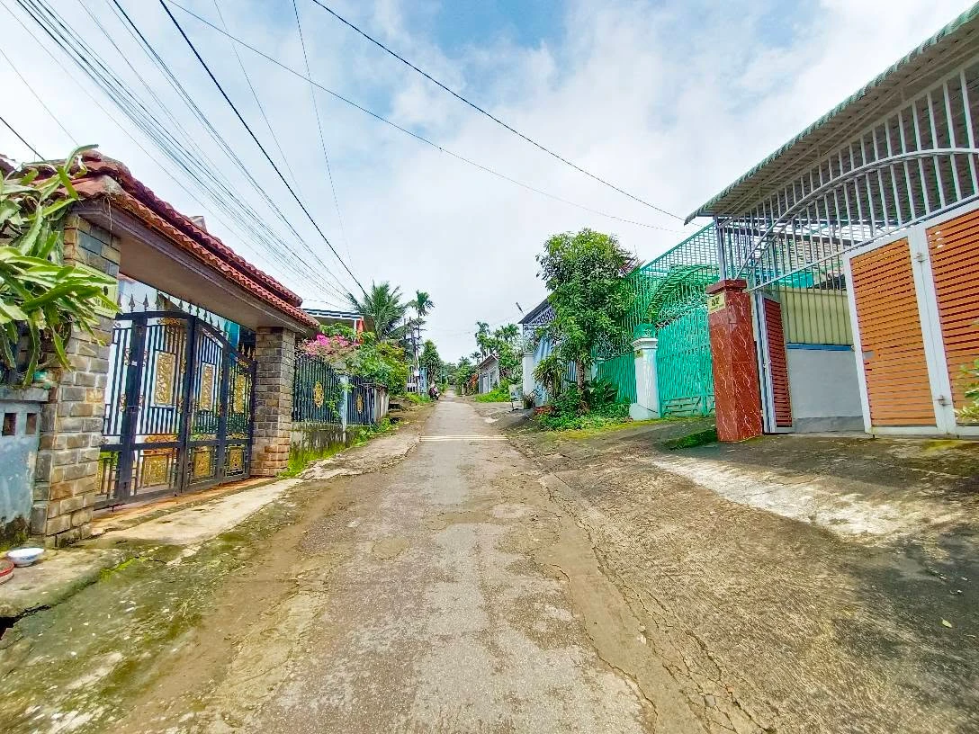 Bán đất nền 100m² Lâm Đồng, mặt đường nhựa, sổ đầy đủ - Ảnh thu nhỏ 4