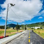 Bán đất Đà Lạt 100m2 view núi Voi, gần đèo Prenn 1 tỷ - Ảnh thu nhỏ 3