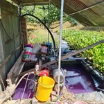 Bán đất vườn sầu riêng 12.854m² Đồng Nai 7 tỷ - Ảnh thu nhỏ 5