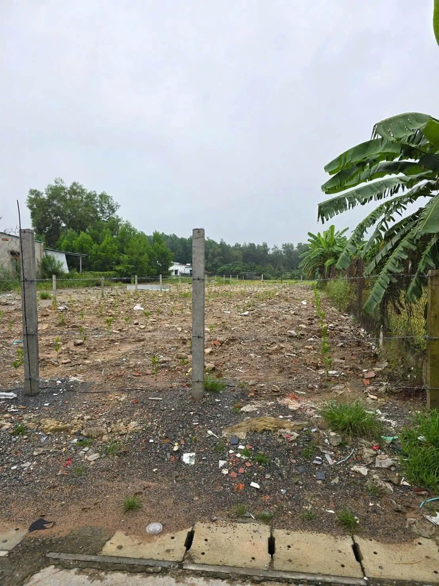 Bán lô biệt thự 11x55m đường nhựa Hương Lộ 6, phường Tân Triều giá 3,8 tỷ - Ảnh thu nhỏ 2