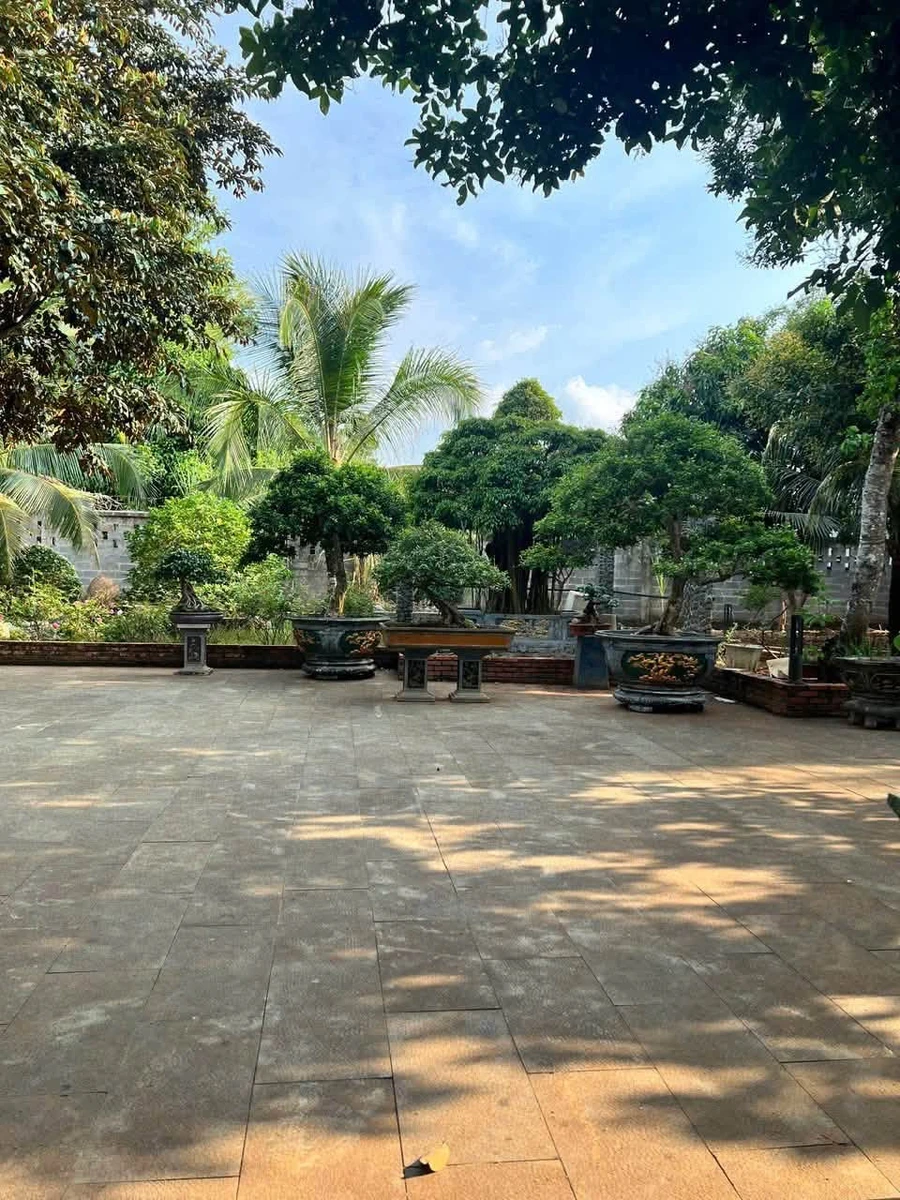 Bán nhà vườn 5.000m² tại Long Khánh, Đồng Nai - Ảnh thu nhỏ 5