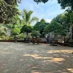 Bán nhà vườn 5.000m² tại Long Khánh, Đồng Nai - Ảnh thu nhỏ 5