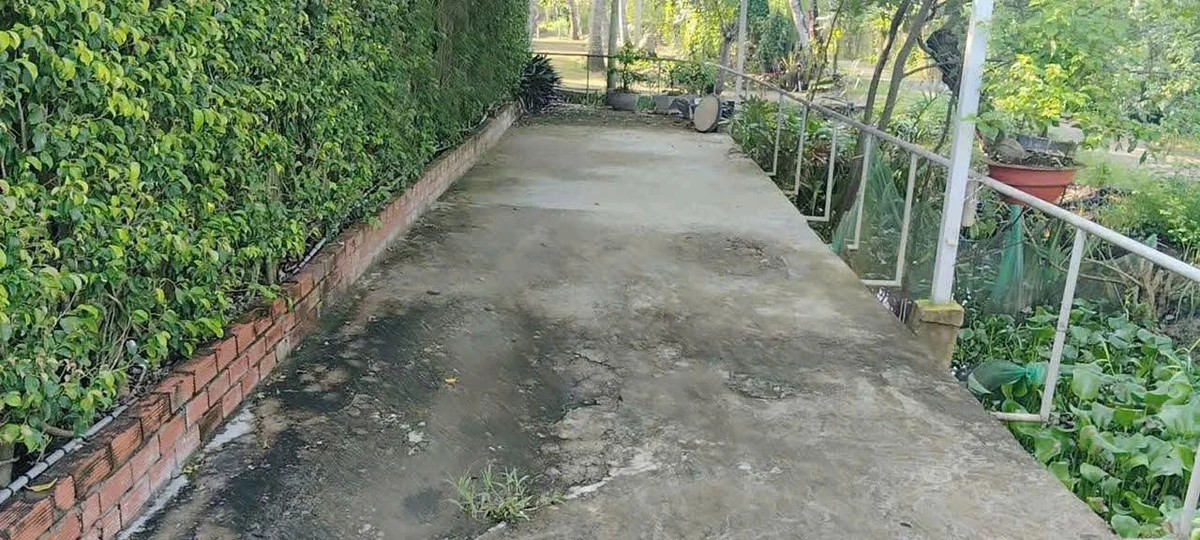 Bán đất 530m² Phú Hưng Bến Tre, có hồ bơi và sân vườn - Ảnh 1