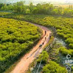 Bán đất nghỉ dưỡng 2600m² gần chùa Côn Sơn, Hải Phòng - Ảnh thu nhỏ 4
