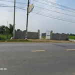 Bán đất mặt tiền QL 50 Cần Đước 1741 m2 - Ảnh thu nhỏ 2