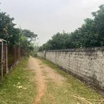 Bán 365m² đất trồng bưởi Tân Lạc Hòa Bình 199 triệu - Ảnh thu nhỏ 1
