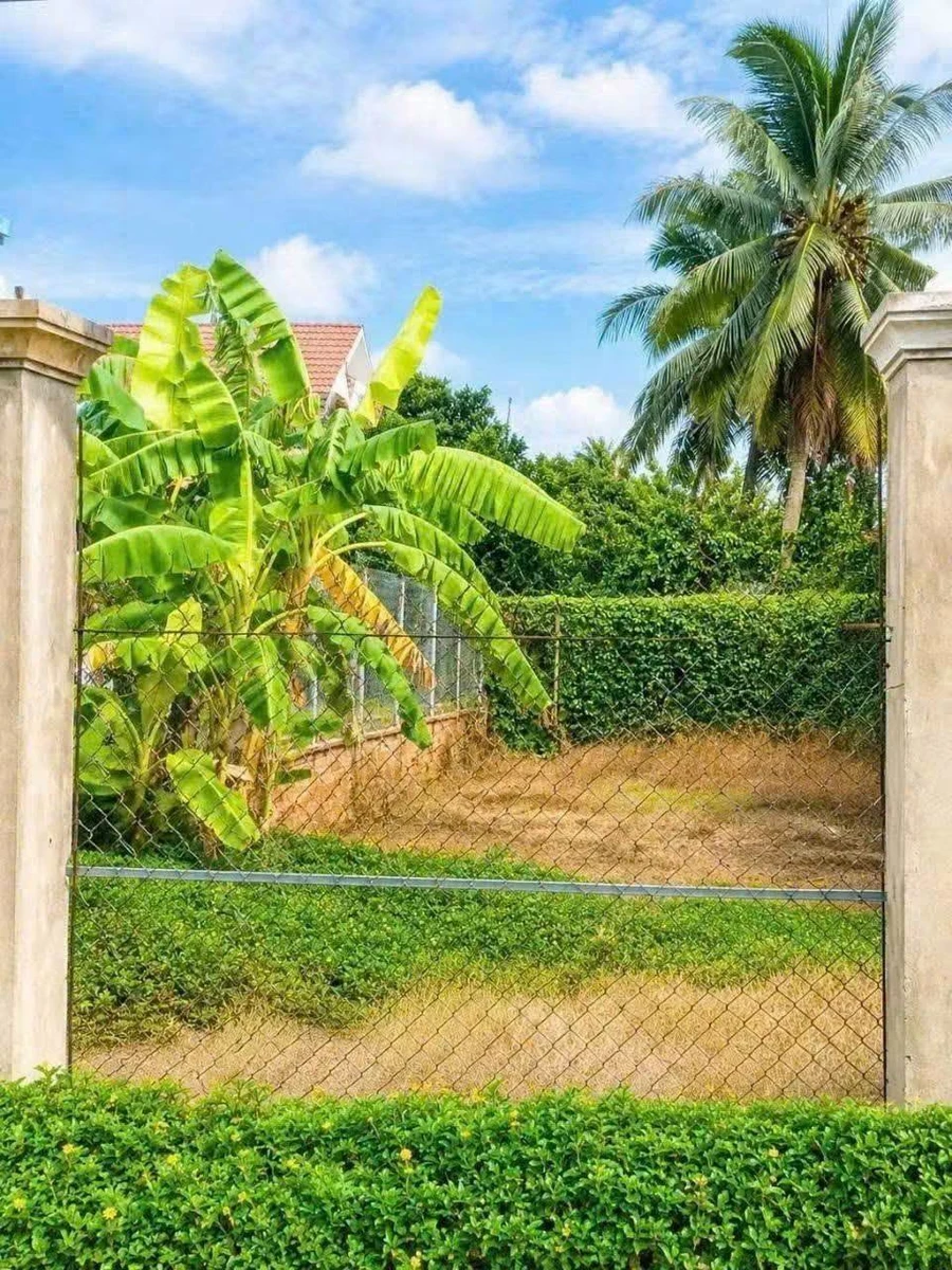 Bán đất mặt tiền 151m2 Trần Văn Cầu An Hội - Ảnh thu nhỏ 5