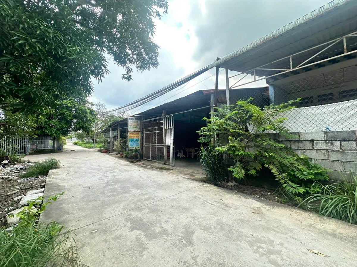 Bán đất xã Đức Hoà, Long An 190 m² 1,75 tỷ - Ảnh thu nhỏ 2