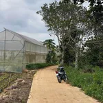 Bán đất 1000m2 Hiệp An, Đà Lạt 1 tỷ 6 - Ảnh thu nhỏ 2