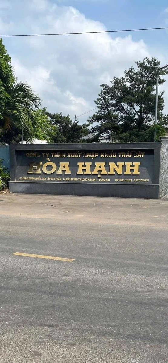 Bán đất Phường Long Khánh 90m², 890 triệu - Ảnh thu nhỏ 4
