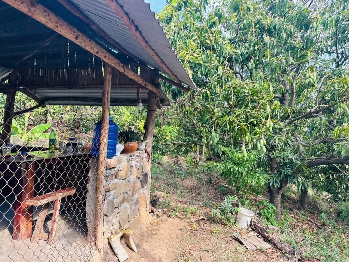 Bán đất Diên Thọ 3.248m² giá 1 tỷ 180 triệu - Ảnh 1