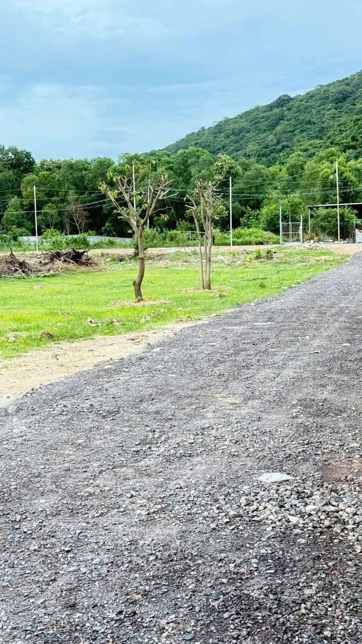 Bán đất 100m² An Ngãi, Bà Rịa - Vũng Tàu - Ảnh 1