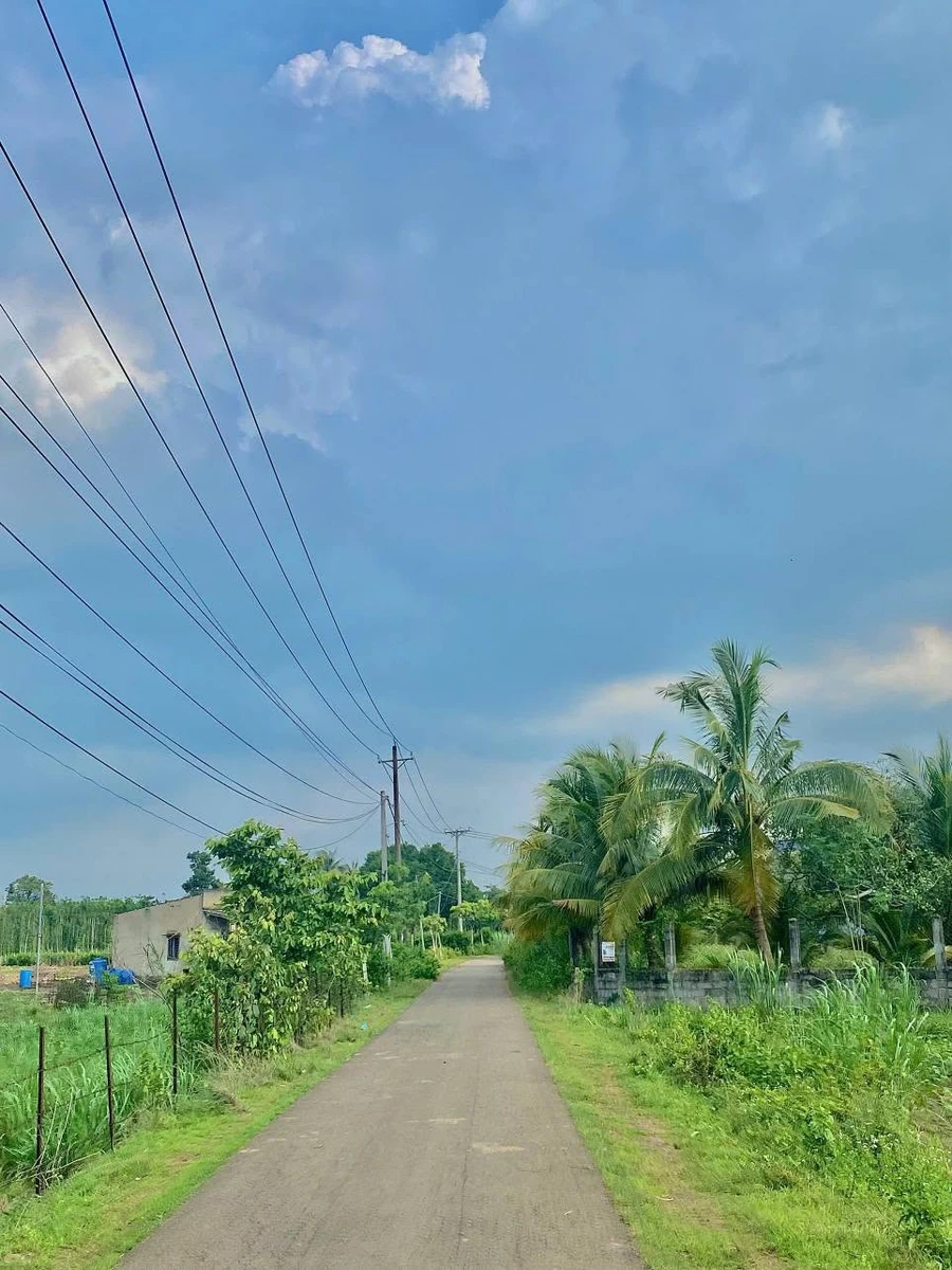 Bán đất thổ cư 5,5x24m giá 430 triệu, sổ riêng, gần ĐT763 Xuân Lộc, Đồng Nai - Ảnh thu nhỏ 3