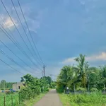 Bán đất thổ cư 5,5x24m giá 430 triệu, sổ riêng, gần ĐT763 Xuân Lộc, Đồng Nai - Ảnh thu nhỏ 3
