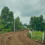 Bán đất vườn 21.810m2 có 300m2 thổ cư, view núi Chứa Chan, Xuân Lộc, Đồng Nai - Ảnh thu nhỏ 3