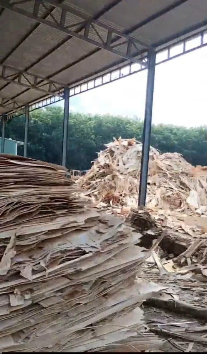 Bán xưởng 8.000m² Dầu Tiếng, Bình Dương, 18 tỷ - Ảnh thu nhỏ 2