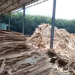 Bán xưởng 8.000m² Dầu Tiếng, Bình Dương, 18 tỷ - Ảnh thu nhỏ 2