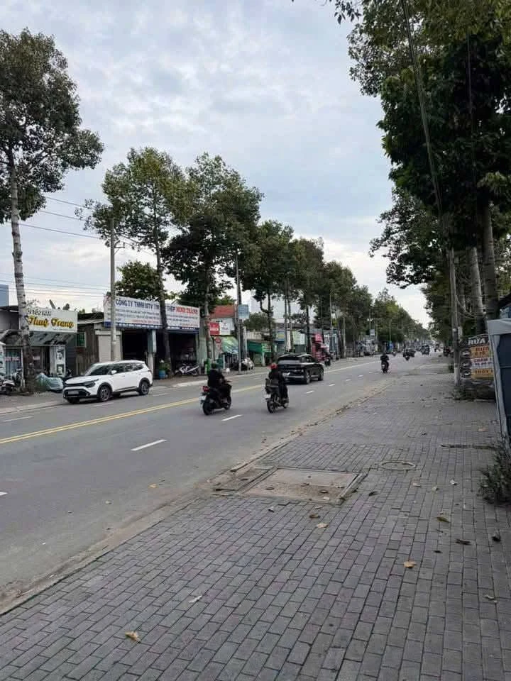 Bán nhà cấp 4 mặt tiền Lê Hồng Phong, Phú Lợi, 149m2, 5.8 tỷ - Ảnh thu nhỏ 3