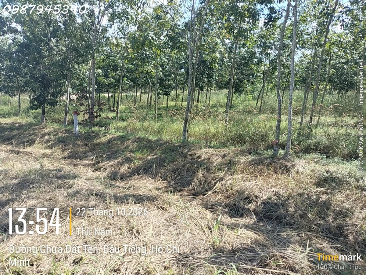 Cần tiền bán nhanh lô đất tại Ấp Núi Cậu, Dầu Tiếng, DT 251,2m2, giá 2,5 tỷ - Ảnh thu nhỏ 3