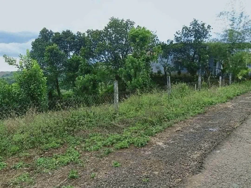 Bán đất mặt tiền 2.000m² Nghĩa Phú, Lâm Đồng 900 triệu