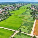 Bán đất 160m² Đan Hải Hà Tĩnh 800 triệu - Ảnh thu nhỏ 1
