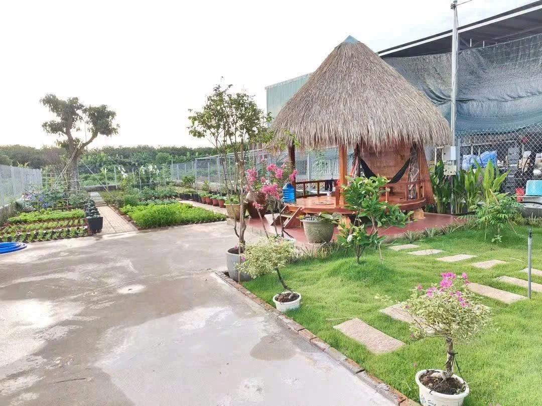 Bán đất vườn 350m² mặt tiền đường 765 cũ Long Tân - Ảnh thu nhỏ 3