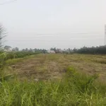 Bán lô đất vườn 3000m² mặt kênh, Bến Lức, Long An - Ảnh thu nhỏ 3