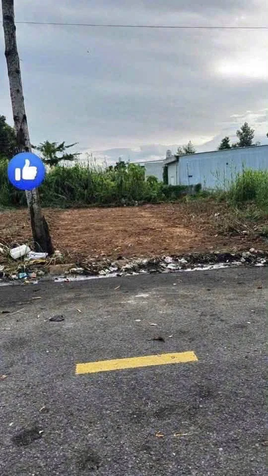 Bán đất nền mặt tiền Nguyễn Thái Bình 100m2, 830 triệu, Lấp Vò, Đồng Tháp - Ảnh 1