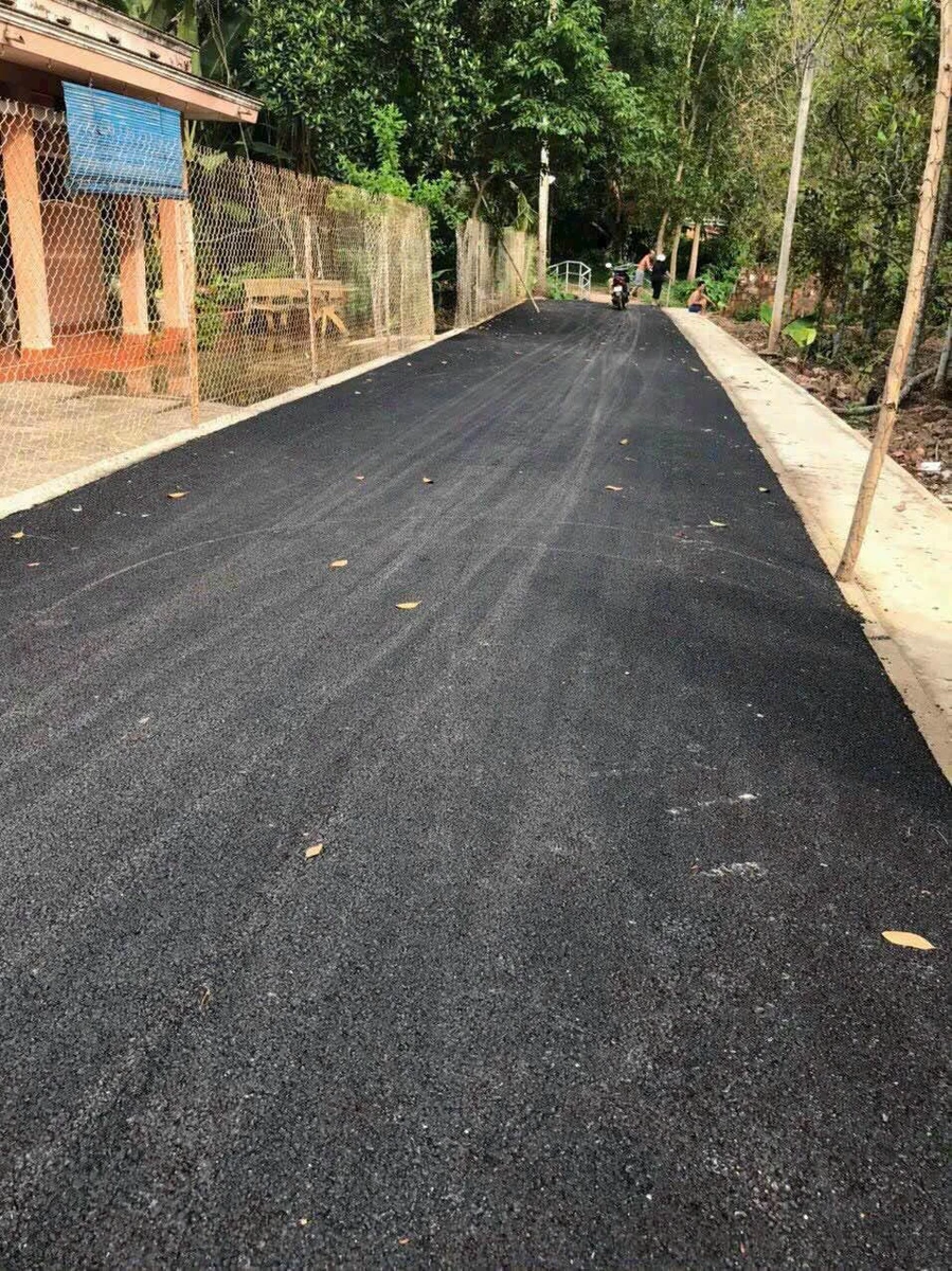 Bán nhà C4 cổ xưa 563m² Phường Chánh Hưởng Bình Chánh - Ảnh thu nhỏ 4