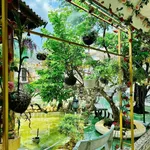 Bán villa 3 phòng ngủ 180m² Phan Huy Chú Buôn Ma Thuột 8,9 tỷ - Ảnh thu nhỏ 4