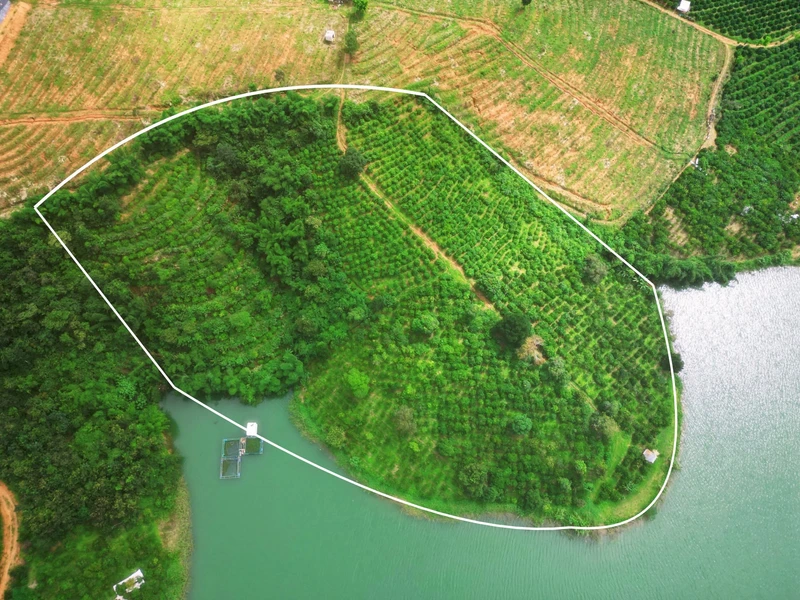 Bán vườn cà phê 2,8ha giáp hồ Đắk Hà, giá 4,399 tỷ