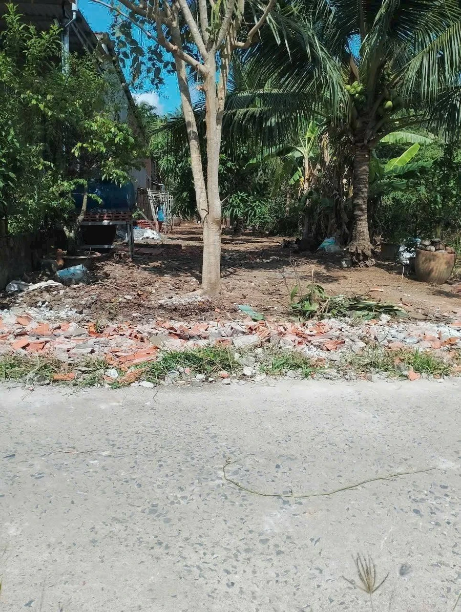 Bán đất Phú Hưng Nhà Bè 160m2 giá 505 triệu - Ảnh thu nhỏ 2