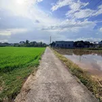 Bán 3 lô đất liền kề Kim Bình Hàm Thắng 500m2, 500 triệu/lô - Ảnh thu nhỏ 1