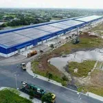 Bán 4000m2 đất quy hoạch Phước Đông, Cần Đước, Long An - Ảnh thu nhỏ 5