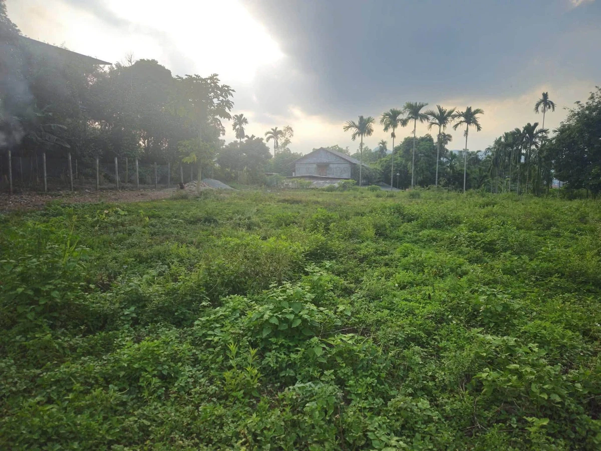 Bán đất view hồ Hòa Bình 1.125,4m² giá 4,8 tỷ - Ảnh thu nhỏ 2