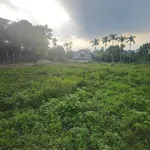 Bán đất view hồ Hòa Bình 1.125,4m² giá 4,8 tỷ - Ảnh thu nhỏ 2