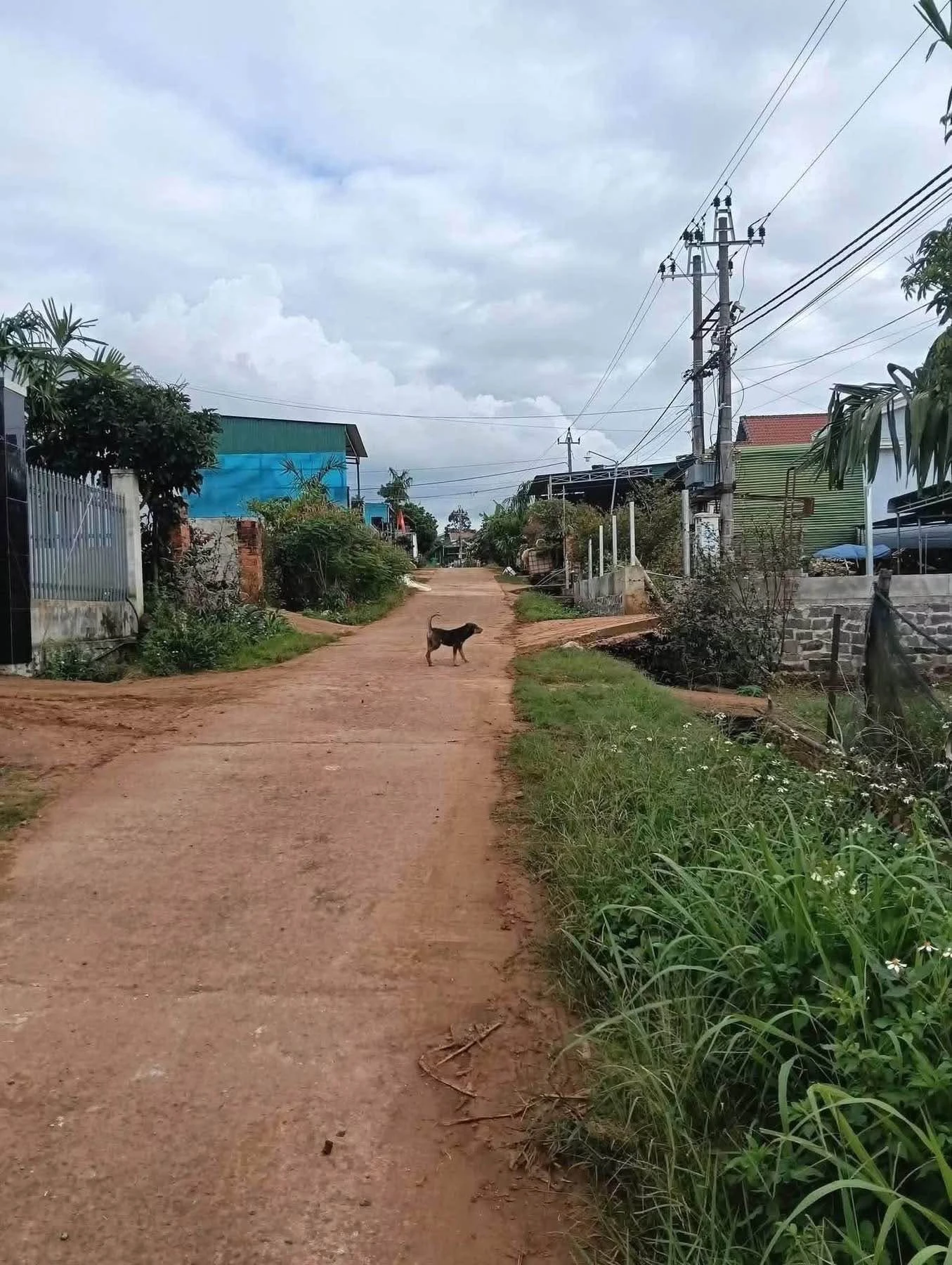 Bán đất Thuận An 440m² có cà phê, gần Quốc lộ - Ảnh 1
