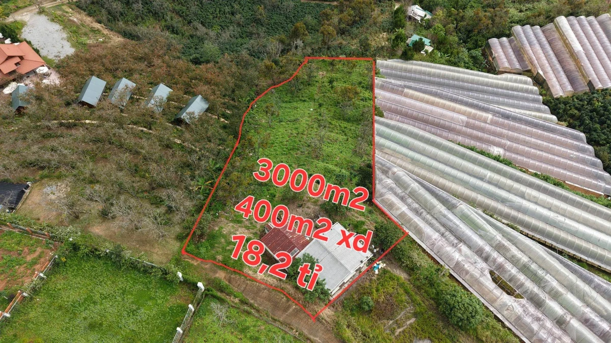 Bán lô đất 3000m² với nhà cấp 4, Xuân Thọ, Bình Dương - Ảnh 1