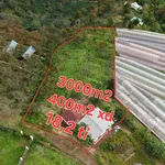 Bán lô đất 3000m² với nhà cấp 4, Xuân Thọ, Bình Dương - Ảnh thu nhỏ 1