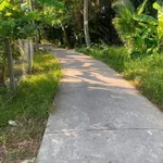 Bán đất Tân Phú 5.298m2 với giá 800 triệu/công - Ảnh thu nhỏ 2