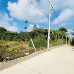 Bán đất thổ cư gần cổng chào Bảo Vinh, Long Khánh Đồng Nai - Ảnh thu nhỏ 3