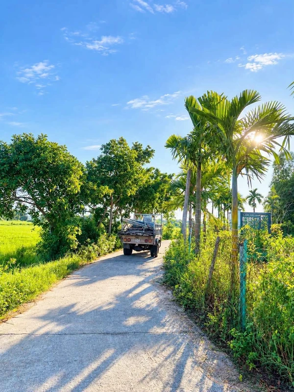 Bán đất Bình Quý Thăng Bình 140m² giá 299 triệu
