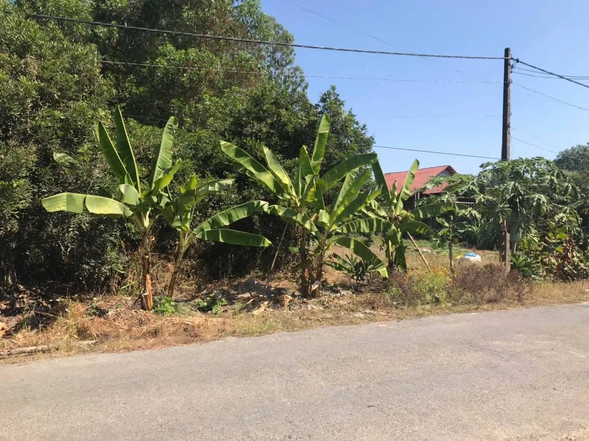 Bán lô đất 509m² Tóc Tiên Phú Mỹ, giá 2 tỷ 3 - Ảnh thu nhỏ 4