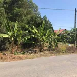 Bán lô đất 509m² Tóc Tiên Phú Mỹ, giá 2 tỷ 3 - Ảnh thu nhỏ 4