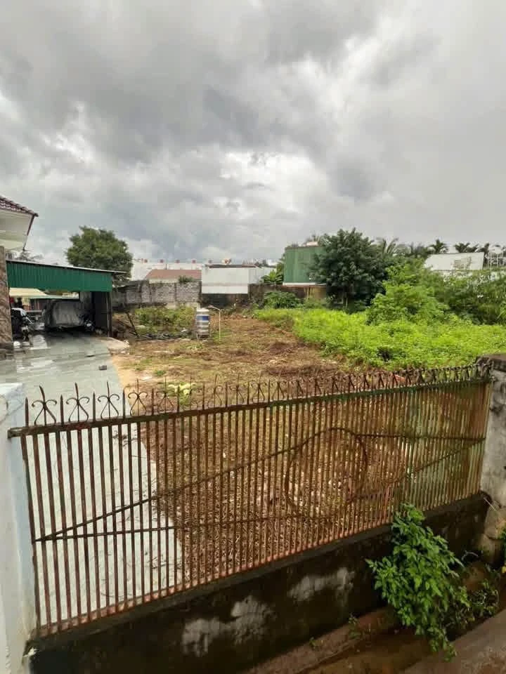 Bán đất hẻm Nguyễn Công Trứ Buôn Ma Thuột 150m2 giá 2 tỷ 950 - Ảnh thu nhỏ 3