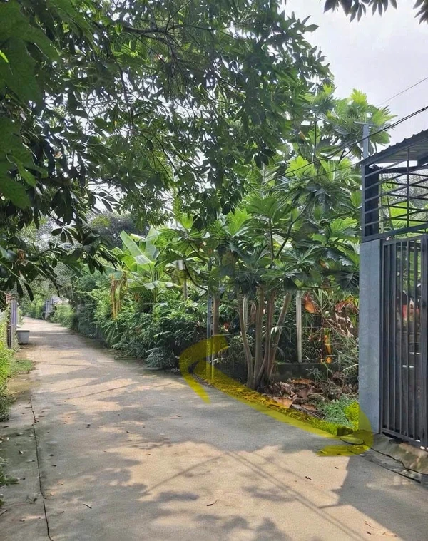 Bán đất 68m² đường Bình Nhâm 34, Thuận An, Bình Dương, giá khoảng 1,9 tỷ