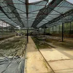 Bán gấp lô đất 19.000m2 mặt tiền Mimoza, Đà Lạt, 40 tỷ - Ảnh thu nhỏ 5