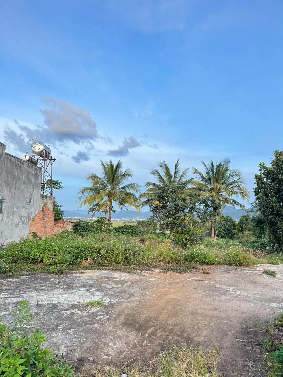 Bán đất mặt tiền 2.900m² Liên Nghĩa, Đức Trọng - Ảnh thu nhỏ 4