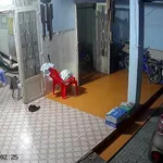 Bán lô đất 293m2 mặt tiền đường 19/5, Phú Giáo - Ảnh thu nhỏ 2